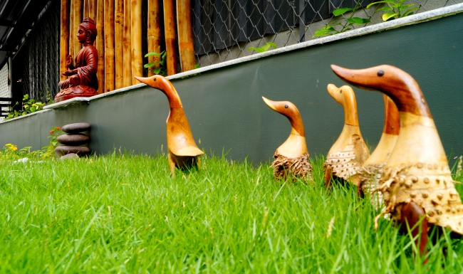 A TERRACE GARDEN