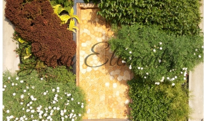 VERTICAL GARDEN