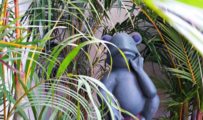 BALCONY GARDEN